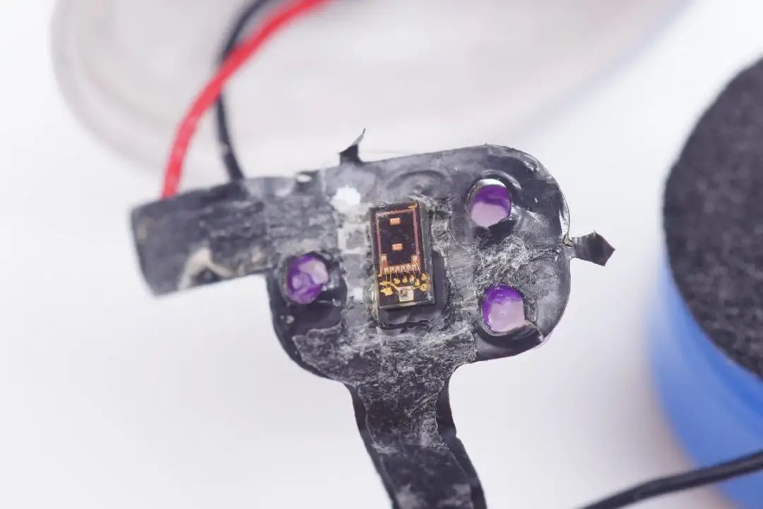 51白菜网 - 51白菜网彩金论坛