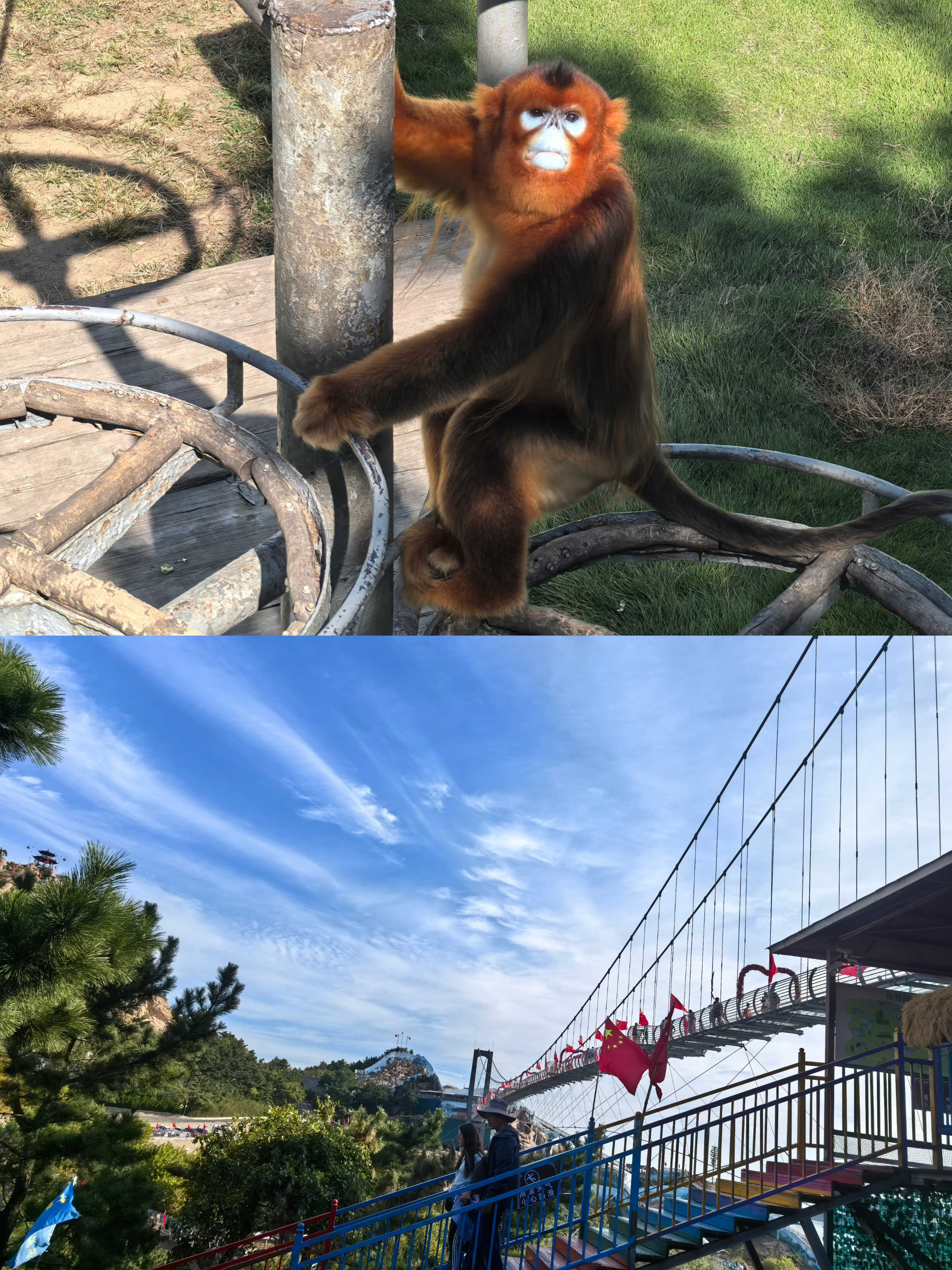 51白菜网 - 51白菜网彩金论坛