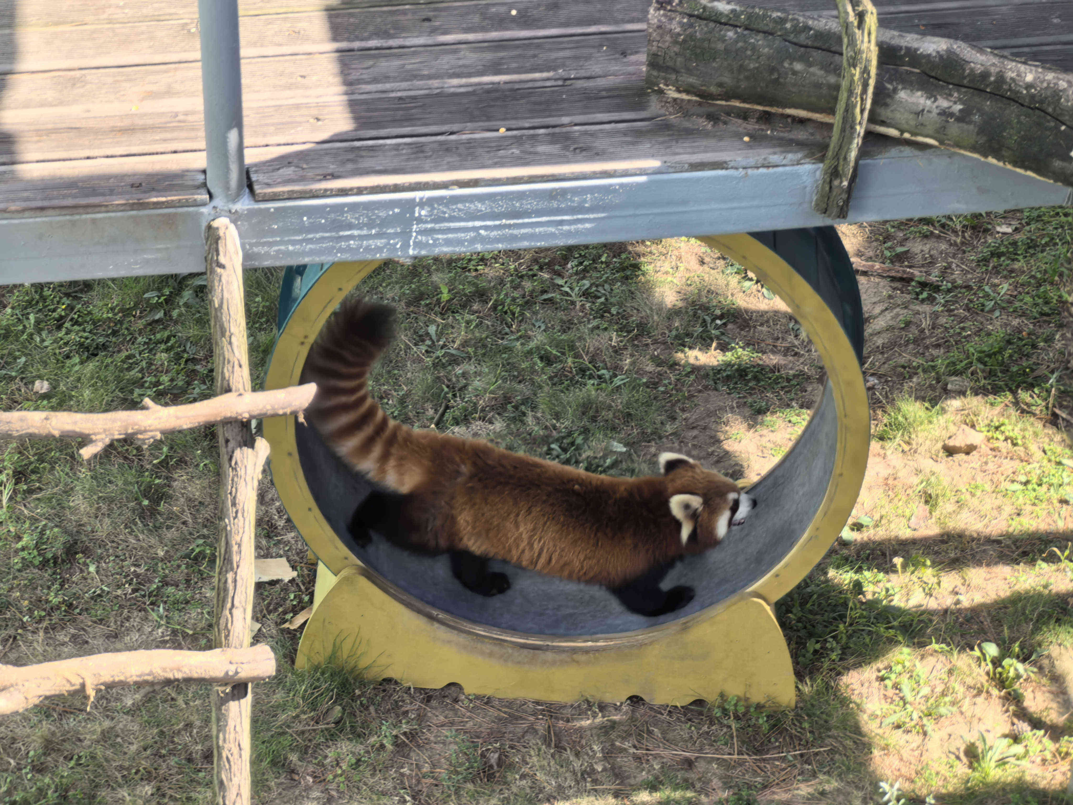 51白菜网 - 51白菜网彩金论坛