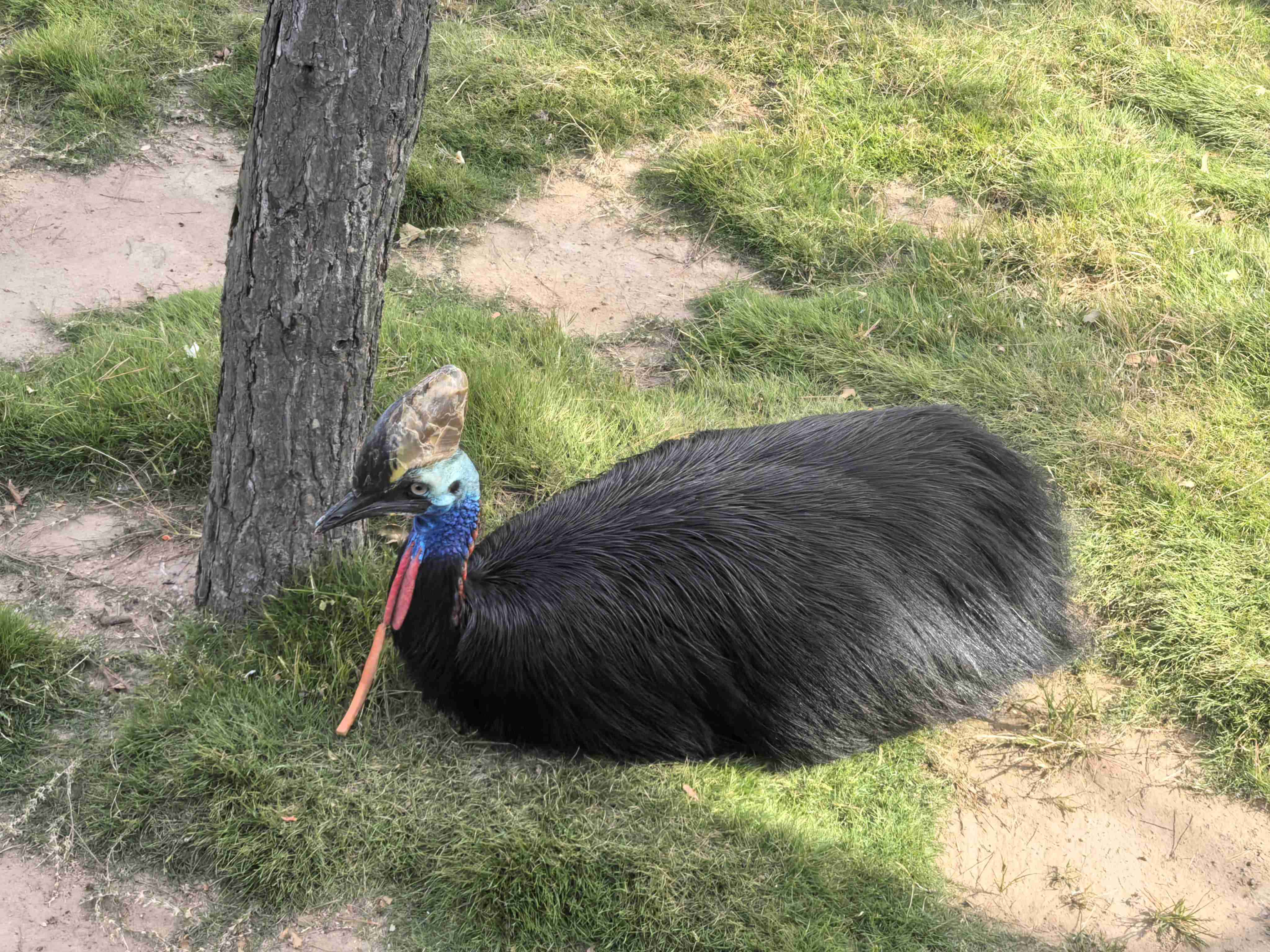 51白菜网 - 51白菜网彩金论坛