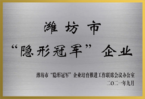 51白菜网彩金论坛电子获批潍坊市“隐形冠军”企业声誉